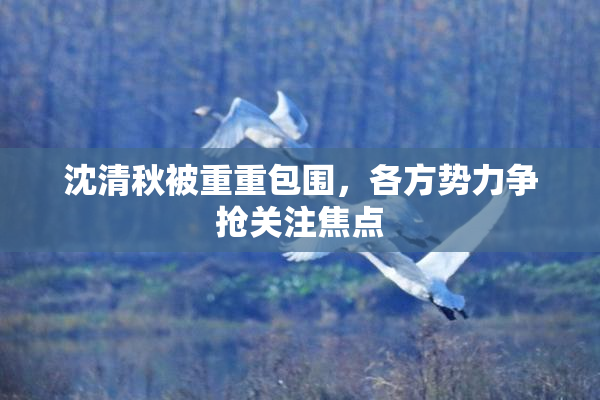 沈清秋被重重包围，各方势力争抢关注焦点