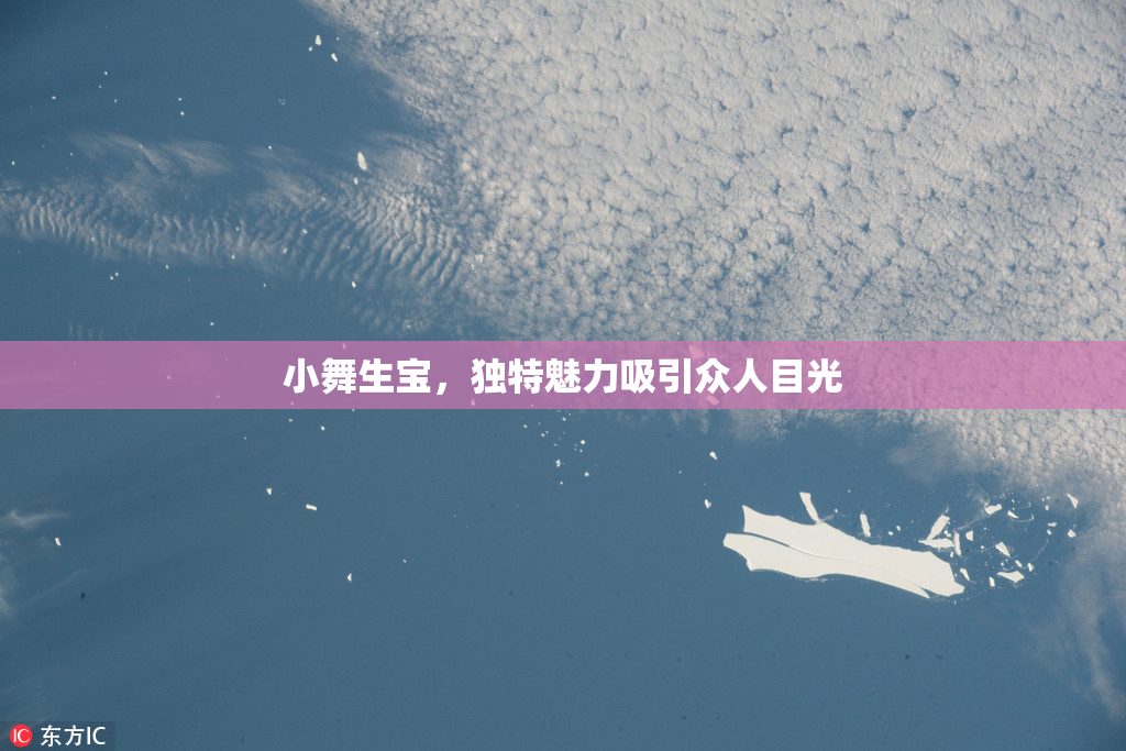 小舞生宝，独特魅力吸引众人目光