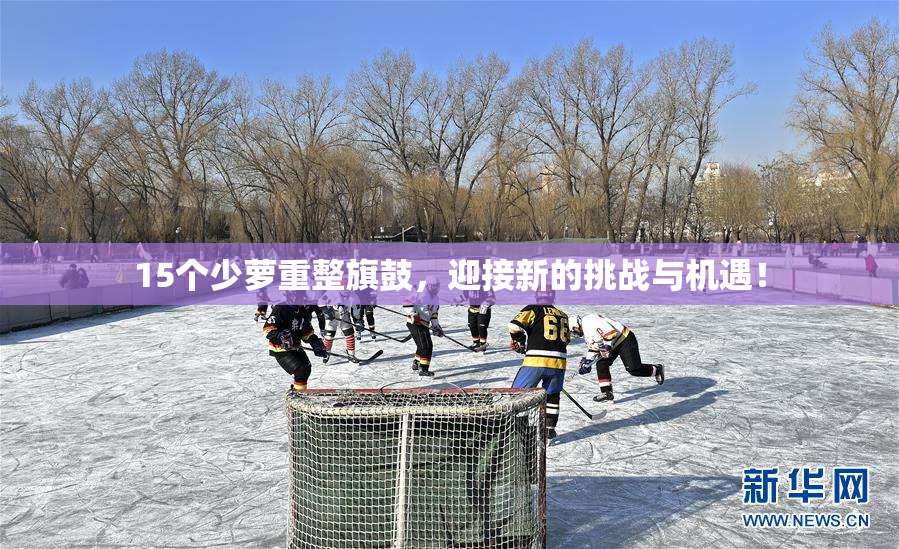 15个少萝重整旗鼓，迎接新的挑战与机遇！