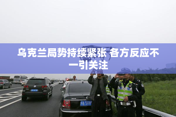 乌克兰局势持续紧张 各方反应不一引关注