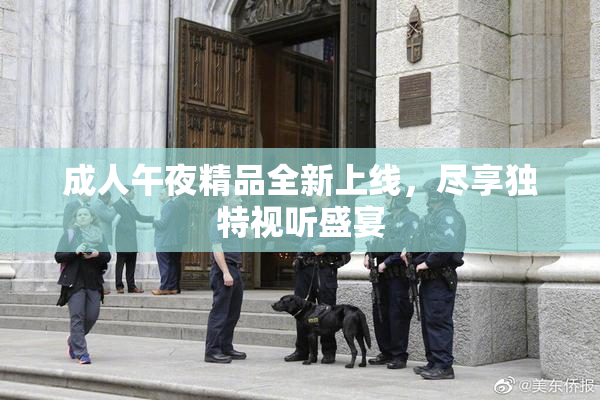 成人午夜精品全新上线，尽享独特视听盛宴