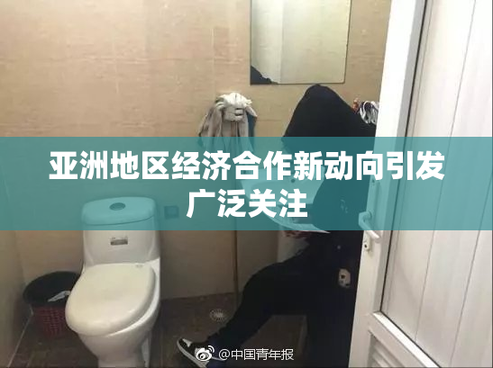 亚洲地区经济合作新动向引发广泛关注