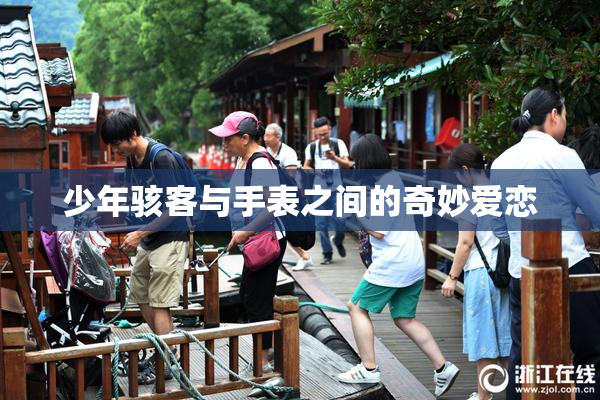 少年骇客与手表之间的奇妙爱恋