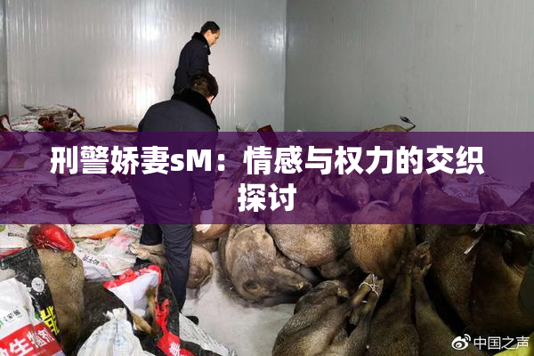 刑警娇妻sM：情感与权力的交织探讨