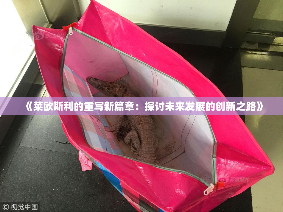《莱欧斯利的重写新篇章：探讨未来发展的创新之路》