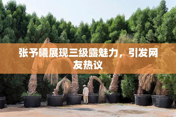 张予曦展现三级露魅力，引发网友热议