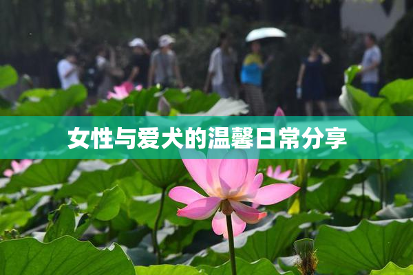 女性与爱犬的温馨日常分享