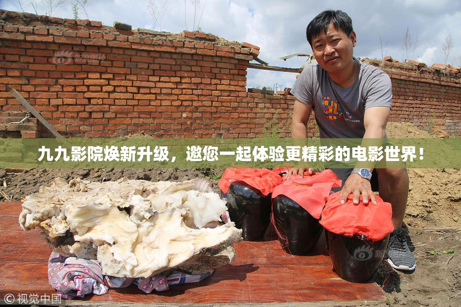 九九影院焕新升级，邀您一起体验更精彩的电影世界！
