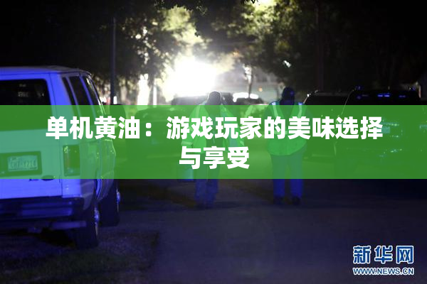 单机黄油：游戏玩家的美味选择与享受