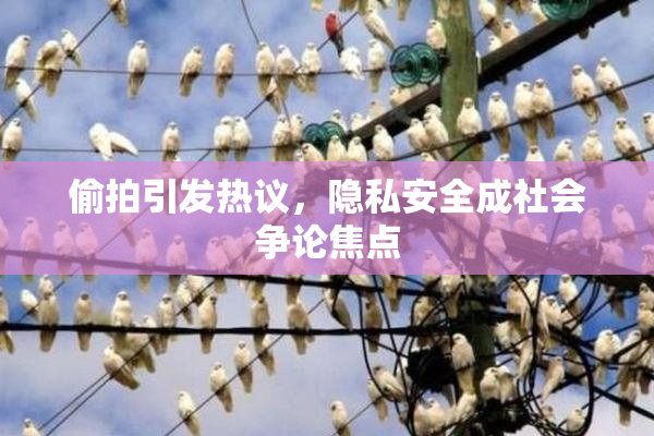 偷拍引发热议，隐私安全成社会争论焦点