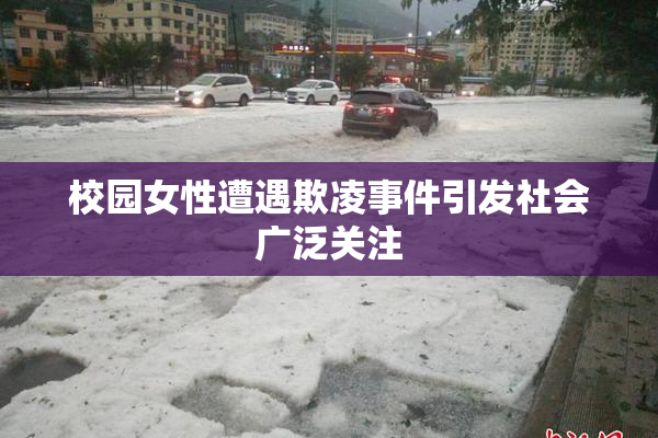 校园女性遭遇欺凌事件引发社会广泛关注