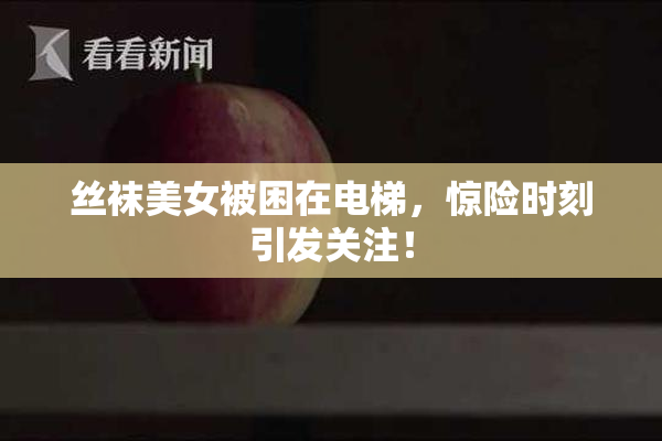 丝袜美女被困在电梯，惊险时刻引发关注！