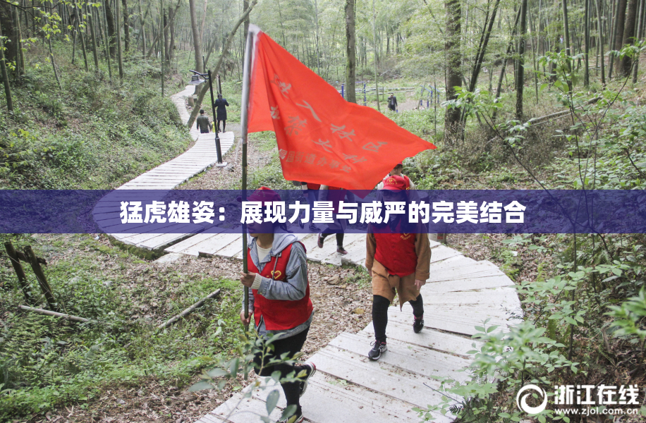 猛虎雄姿：展现力量与威严的完美结合