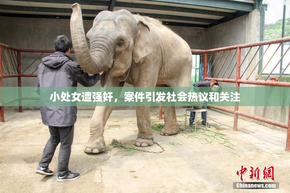 小处女遭强奸，案件引发社会热议和关注