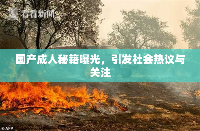 国产成人秘籍曝光，引发社会热议与关注