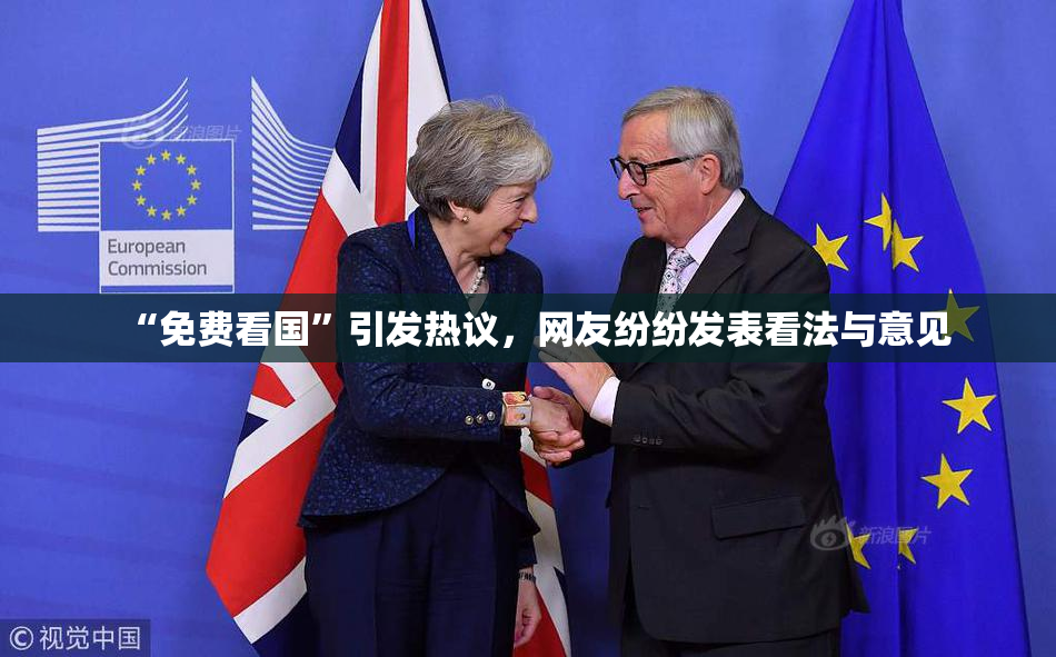 “免费看国”引发热议，网友纷纷发表看法与意见