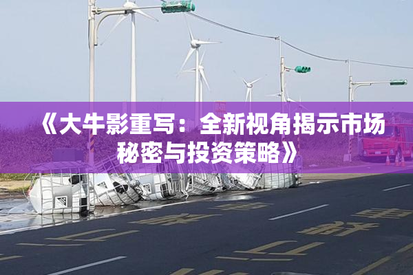 《大牛影重写：全新视角揭示市场秘密与投资策略》