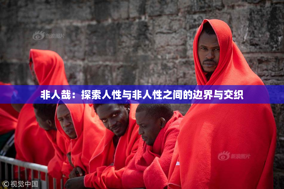 非人哉：探索人性与非人性之间的边界与交织