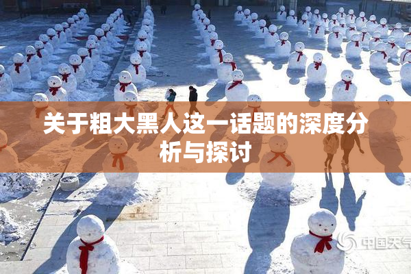 关于粗大黑人这一话题的深度分析与探讨