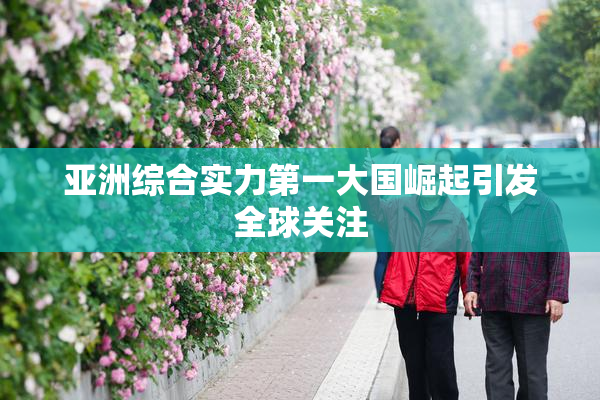 亚洲综合实力第一大国崛起引发全球关注