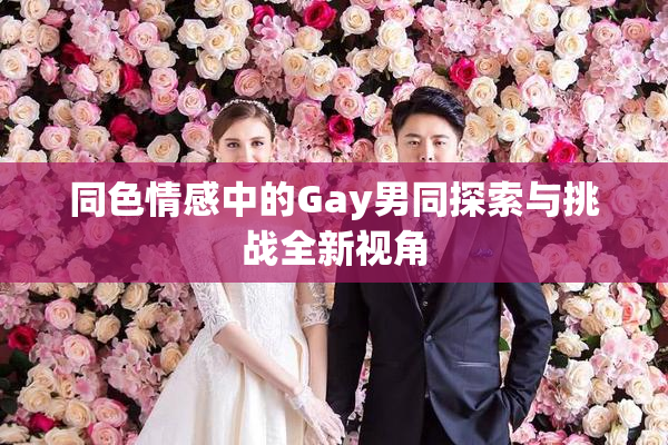 同色情感中的Gay男同探索与挑战全新视角