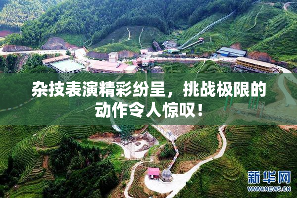 杂技表演精彩纷呈，挑战极限的动作令人惊叹！