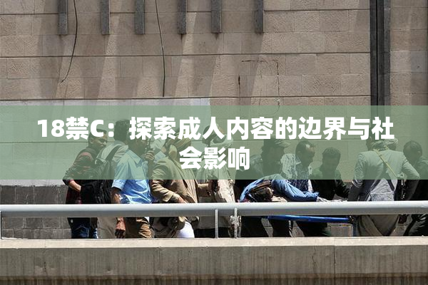 18禁C：探索成人内容的边界与社会影响