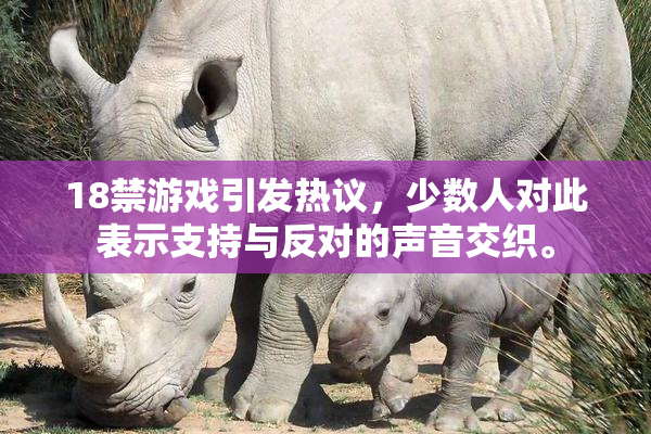 18禁游戏引发热议，少数人对此表示支持与反对的声音交织。