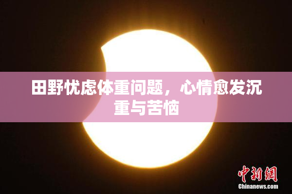 田野忧虑体重问题，心情愈发沉重与苦恼