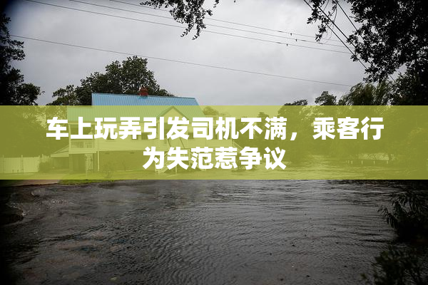 车上玩弄引发司机不满，乘客行为失范惹争议