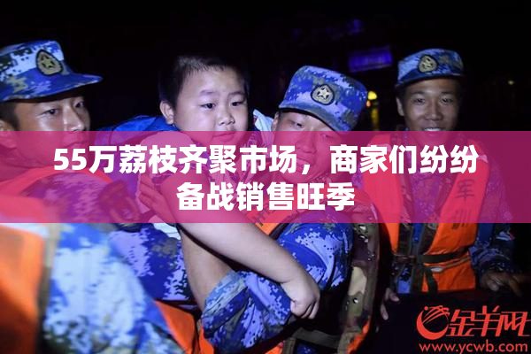55万荔枝齐聚市场，商家们纷纷备战销售旺季