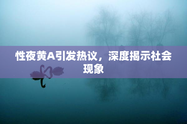 性夜黄A引发热议，深度揭示社会现象