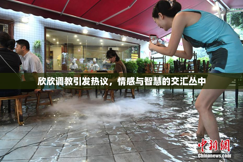欣欣调教引发热议，情感与智慧的交汇丛中
