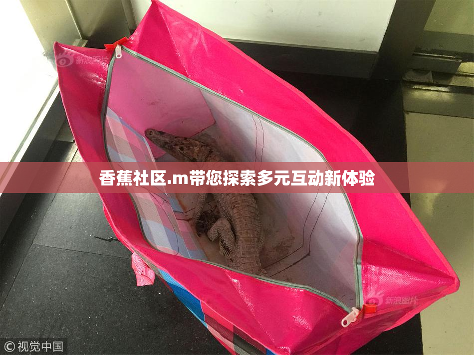 香蕉社区.m带您探索多元互动新体验
