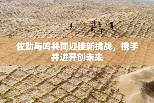 佐助与鸣共同迎接新挑战，携手并进开创未来