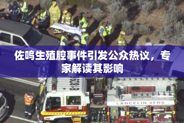 佐鸣生殖腔事件引发公众热议，专家解读其影响