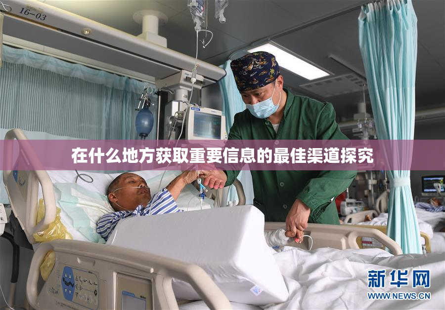 在什么地方获取重要信息的最佳渠道探究