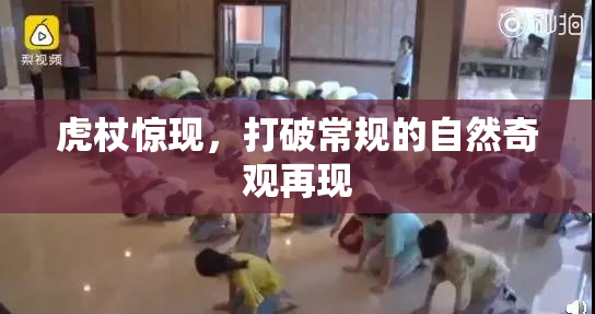 虎杖惊现，打破常规的自然奇观再现