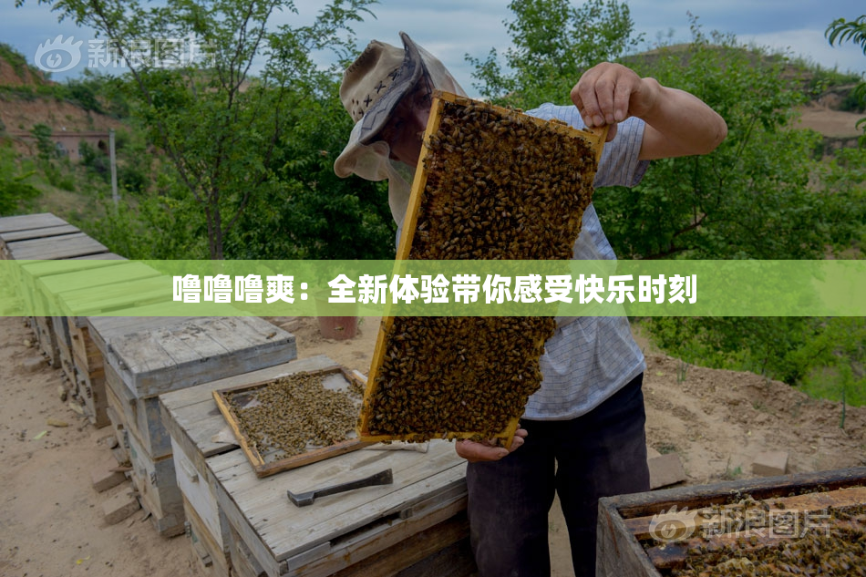 噜噜噜爽：全新体验带你感受快乐时刻
