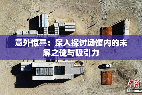 意外惊喜：深入探讨场馆内的未解之谜与吸引力