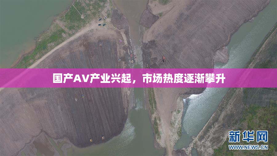 国产AV产业兴起，市场热度逐渐攀升