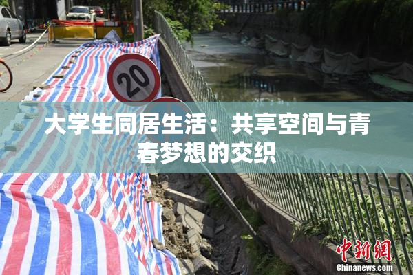 大学生同居生活：共享空间与青春梦想的交织