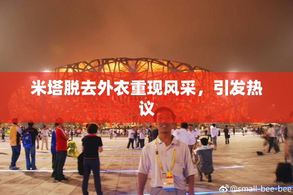 米塔脱去外衣重现风采，引发热议