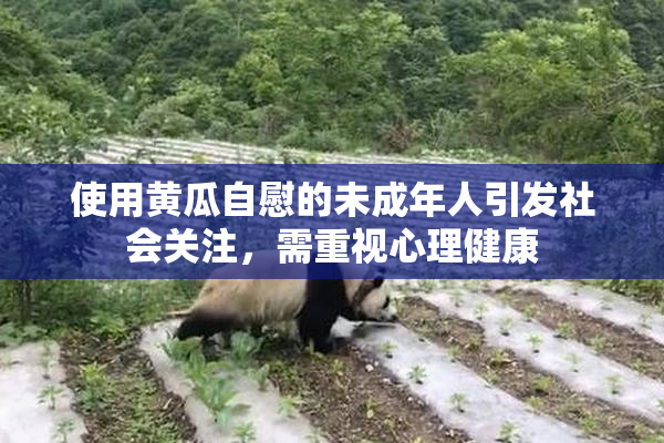 使用黄瓜自慰的未成年人引发社会关注，需重视心理健康