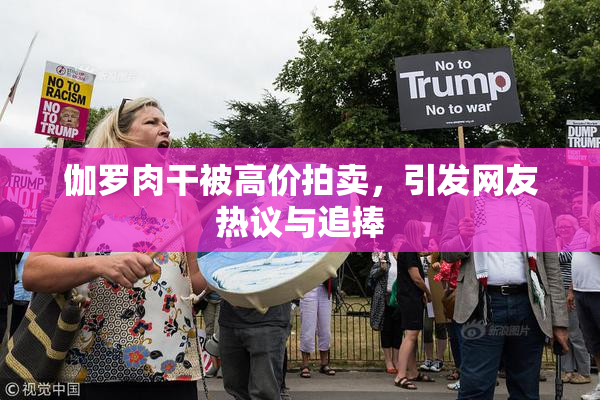 伽罗肉干被高价拍卖，引发网友热议与追捧