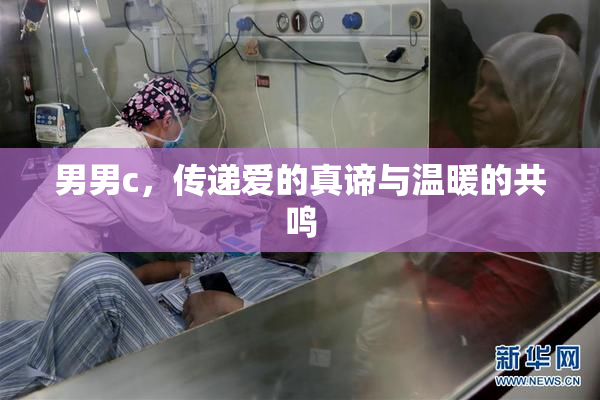 男男c，传递爱的真谛与温暖的共鸣
