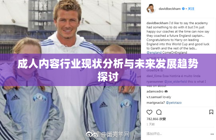 成人内容行业现状分析与未来发展趋势探讨