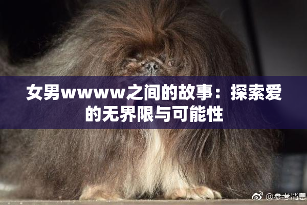 女男wwww之间的故事：探索爱的无界限与可能性