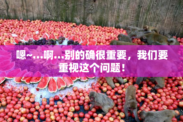 嗯~…啊…别的确很重要，我们要重视这个问题！