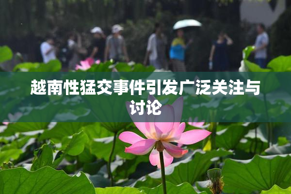 越南性猛交事件引发广泛关注与讨论